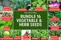 1g Packets 16-Variety Vegetable & Herb Seed Bundle – for Home Gardening