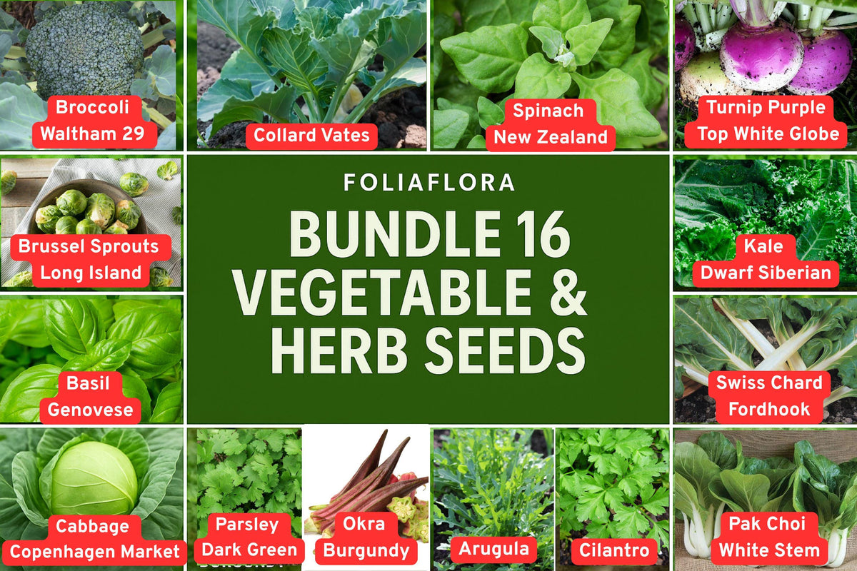 1g Packets 16-Variety Vegetable & Herb Seed Bundle – for Home Gardening