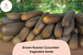 25 Brown Russian Cucumber Seeds - Rare Heirloom, Crisp Sweet Flavor, Non-GMO