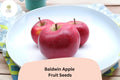 Baldwin Apple Seeds (25) – Heirloom Cold Hardy Fruit Tree