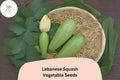 25 Lebanese Cousa Squash Seeds – Heirloom Summer Vegetable