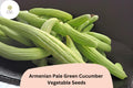 Armenian Cucumber Seeds - Pale Green Snake Melon Heirloom Vegetable (25 Seeds)
