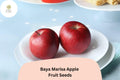 25 Baya Marisa Apple Seeds for Planting - Red Flesh Apple Tree, Sweet Crisp Fruit