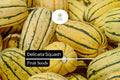 Delicata Squash Seeds – 25 Sweet Heirloom Winter Squash Seeds for Planting