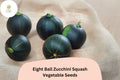 25 Eight Ball Zucchini Seeds - Round Summer Squash for Stuffing