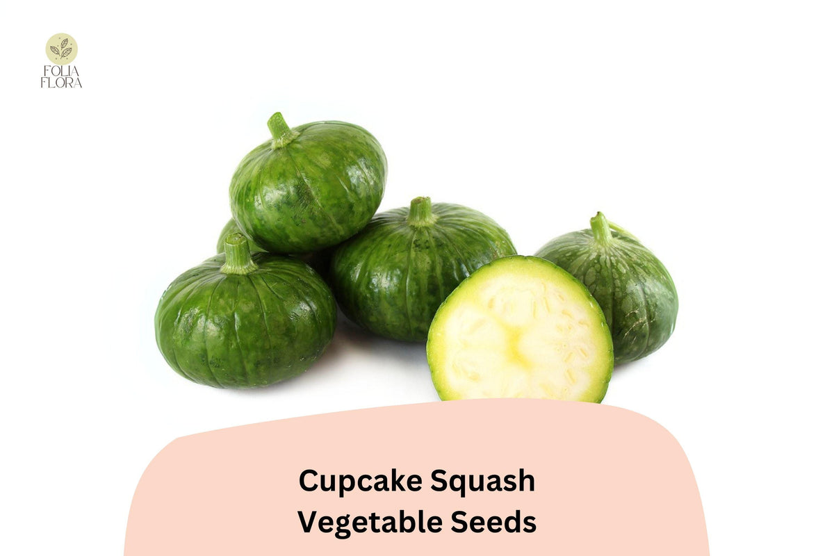 25 Cupcake Squash Seeds - Patty Pan Zucchini, Easy Grow