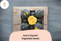 25 Acorn Squash Seeds - Heirloom Winter Squash for Planting