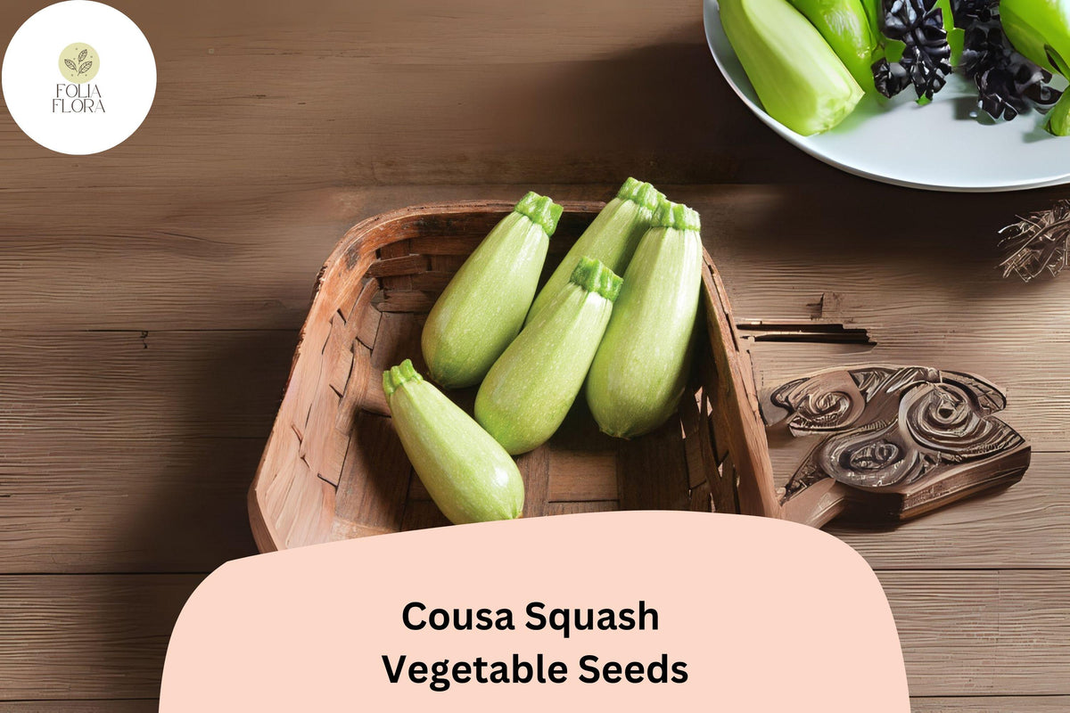 25 Cousa Squash Seeds - Lebanese Heirloom Summer Squash for Vegetable Gardens