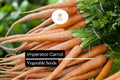 1000 Imperator Carrot Seeds - Sweet Garden Carrots for Planting