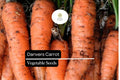 Danvers Carrot Seeds 1000 Heirloom Vegetable Garden Planting