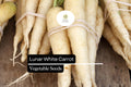 Lunar White Carrot Seeds – 1000 Heirloom Vegetable Garden Seeds for Planting
