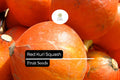 Red Kuri Squash Seeds - 25 Heirloom Winter Squash Seeds for Planting