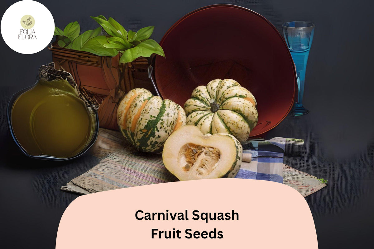 25 Carnival Squash Seeds - Cucurbita Pepo Gourmet Winter Squash