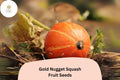 Gold Nugget Squash Seeds - 25 Heirloom Winter Squash Seeds for Planting
