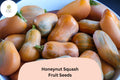 25 Honeynut Squash Seeds - Sweet Mini Butternut Heirloom Winter Squash for Garden Planting
