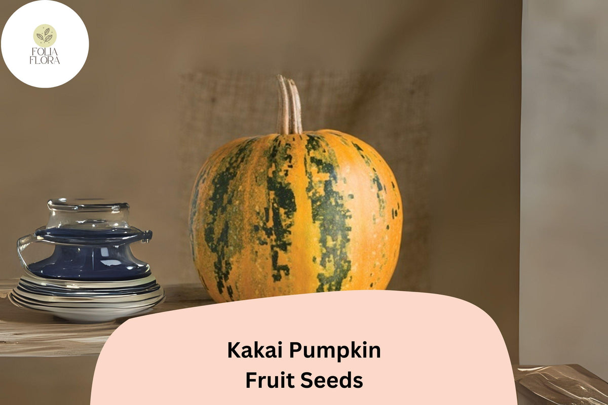 25 Kakai Pumpkin Seeds | Heirloom Hulless Variety for Roasting