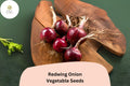 Redwing Onion Seeds – 500 Seeds for Long Storage & Firm Bulbs