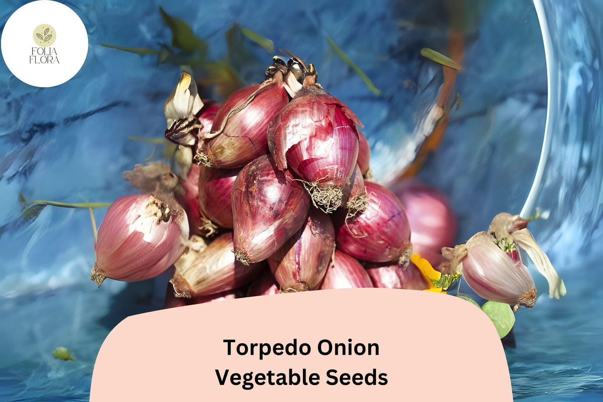 500 Torpedo Onion Seeds - Heirloom Italian Red Onion