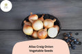 500 Ailsa Craig Onion Seeds | Heirloom Giant Sweet Onion