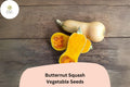 25 Heirloom Butternut Squash Seeds for Planting | Sweet Nutty Winter Squash
