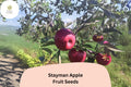 25 Stayman Apple Seeds – Heirloom Tart-Sweet Variety for Planting