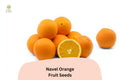 5 Navel Orange Seeds - Sweet Seedless Citrus sinensis