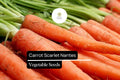 Nantes Carrot Seeds - 1000 Heirloom Vegetable Garden Seeds for Planting