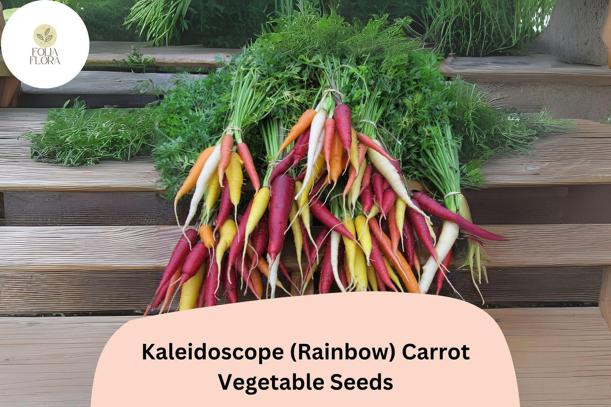 1000 Kaleidoscope Rainbow Carrot Seeds - Colorful Heirloom Carrot Mix for Garden Planting
