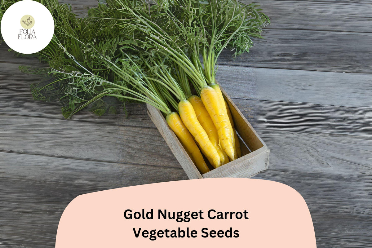 1000 Gold Nugget Carrot Seeds - Golden-Yellow Heirloom Vegetable