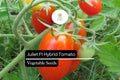 Juliet F1 Hybrid Tomato Seeds - Sweet Red Grape Tomato, 50 Seeds