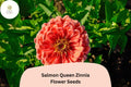 100 Salmon Queen Zinnia Seeds for Planting | Pink-Orange Blooms, Pollinator Friendly