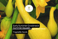 25 Crookneck Squash Seeds - Yellow Summer Heirloom Variety