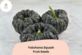 25 Yokohama Squash Seeds for Planting