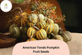 25 American Tondo Pumpkin Seeds - Italian Heirloom Squash for Planting