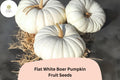 25 Flat White Boer Pumpkin Seeds - Heirloom South African Variety