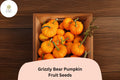 25 Jack Be Little Pumpkin Seeds – Heirloom Mini Pumpkins for Fall Decor & Baking