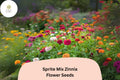 100 Sprite Mix Zinnia Seeds - Dwarf Colorful Garden Flowers