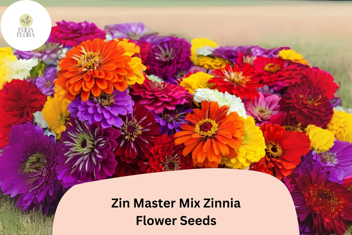 100 Zin Master Mix Zinnia Seeds - Heirloom Non-GMO Annual Flowers