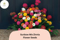 100 Sunbow Mix Zinnia Seeds - Vibrant Heirloom Garden Flowers