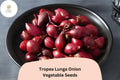 Tropea Lunga Onion Seeds - 500 Italian Heirloom Seeds for Planting