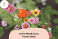 100 Swirls Mix Zinnia Seeds – Heirloom Non-GMO Annual Flowers