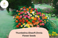 100 Thumbelina Dwarf Zinnia Seeds – Compact Non-GMO Annual Flowers for Pots & Borders