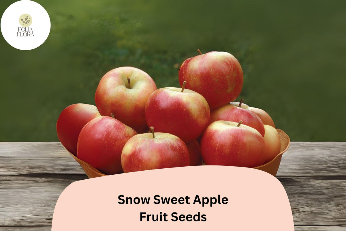 25 Snow Sweet Apple Seeds – Rare Heirloom Variety for Home Orchard