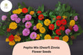 100 Pepito Mix Zinnia Seeds – Dwarf Easy-Grow Annual Flowers