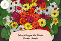 100 Zahara Single Mix Zinnia Seeds – Vibrant Low-Growing Blooms for Garden Beds & Containers
