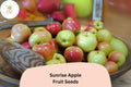 25 Sunrise Apple Seeds for Planting | Early Season Sweet Juicy Apple Tree