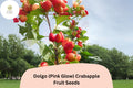 25 Dolgo Crabapple Seeds - Pink Blossoms, Red Fall Fruit, Ornamental Tree