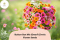 100 Button Box Mix Zinnia Seeds (Dwarf) – Compact Blooms for Borders, Pots & Garden Beds
