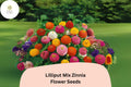 100 Lilliput Mix Zinnia Seeds - Small Pompon Blooms for Borders & Bouquets