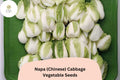 Napa Cabbage Seeds - 500 Heirloom Brassica Seeds for Planting